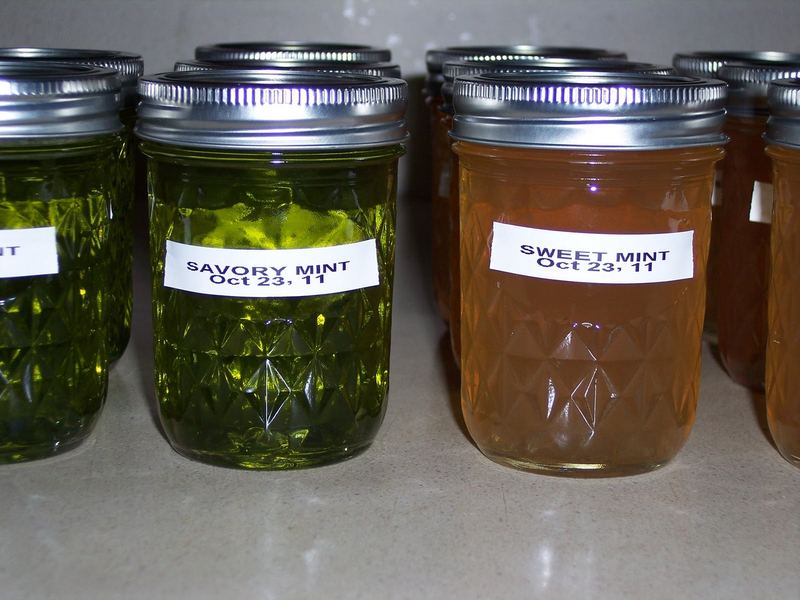 Herbs: A Place to Begin... Jelly – photo 1