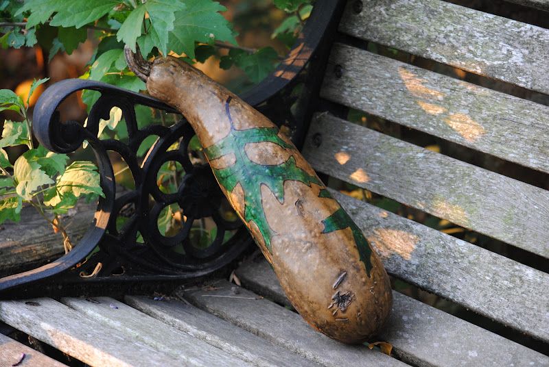 My Second Gourd Project - So Exciting! – photo 2