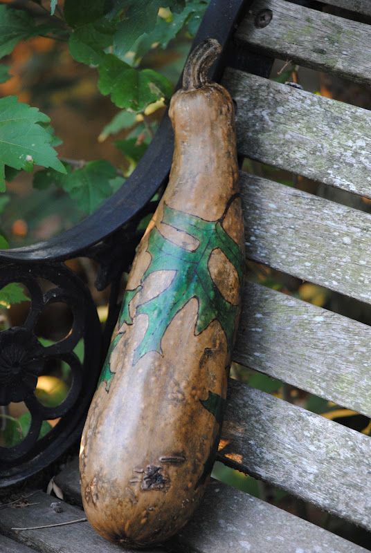 My Second Gourd Project - So Exciting! – photo 5