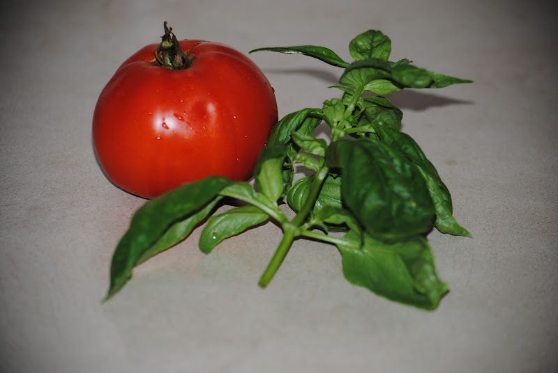 Tomatoes with Basil – photo 1