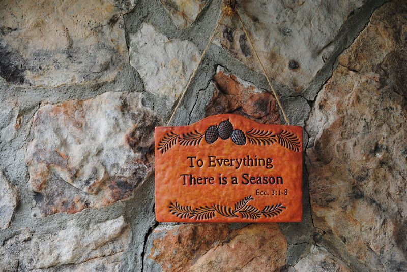 Buttoned Up Plaque – photo 1