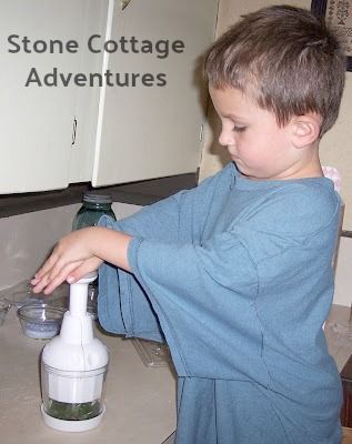 Herbs: A Place to Begin... Chopping – photo 1