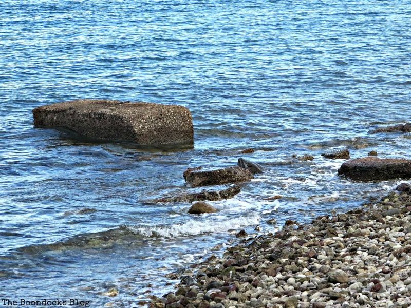 Nature Photo Challenge {Mary} – photo 3