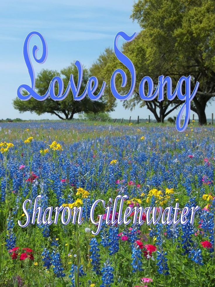 Book Review: Love Song – photo 1