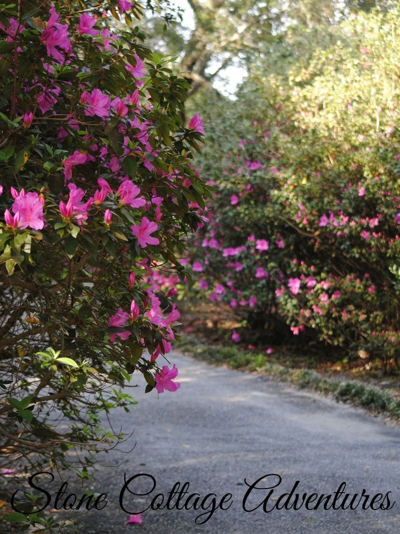 Bellingrath Gardens {Part 3} – photo 2