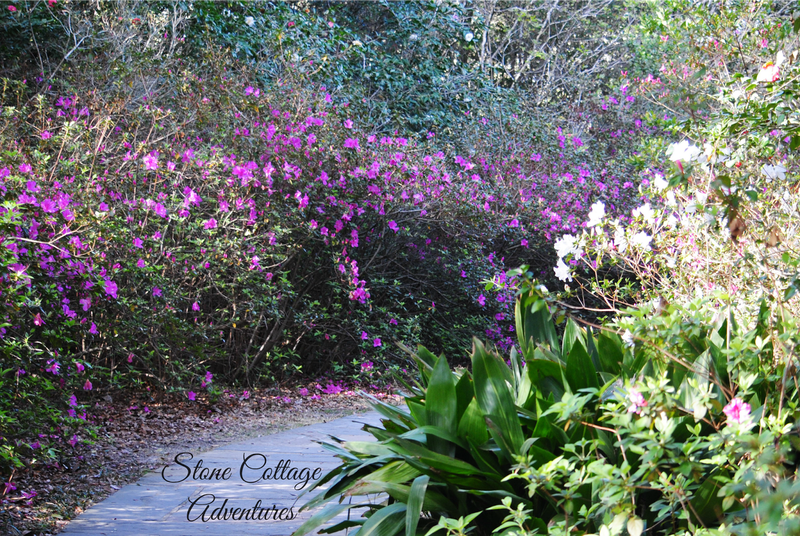 Bellingrath Gardens {Part 3} – photo 6