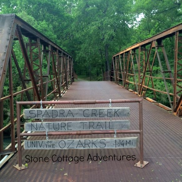 Spadra Creek Nature Trail – photo 13