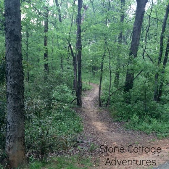 Spadra Creek Nature Trail – photo 21