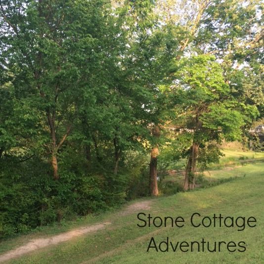 Spadra Creek Nature Trail – photo 6