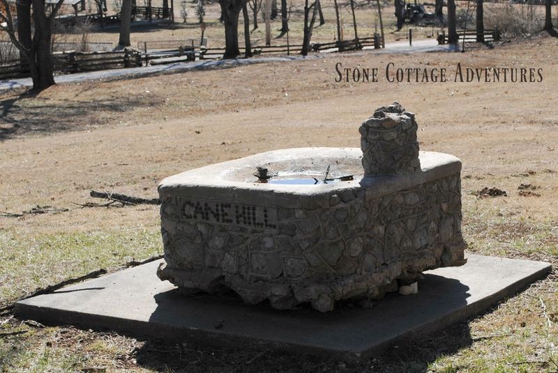 Travels with Marci at Cane Hill College – photo 4