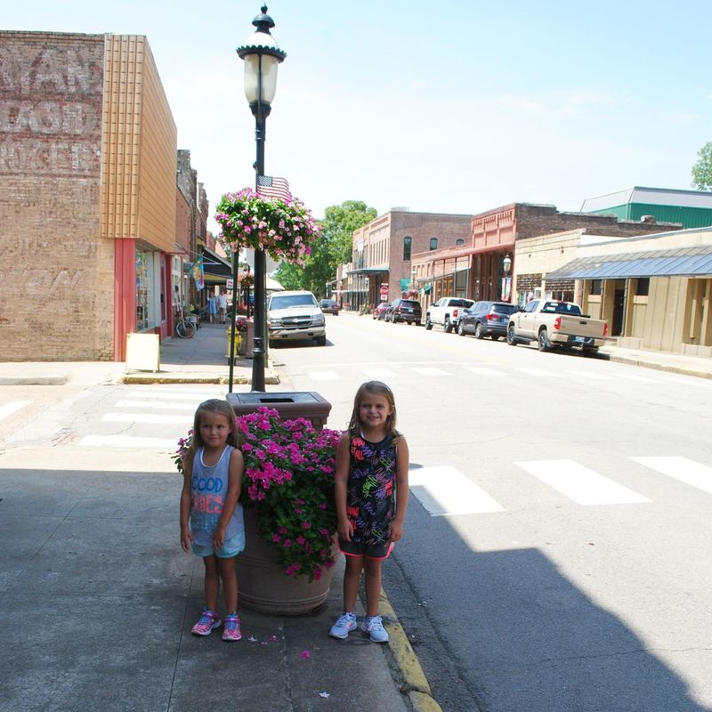Arkansas & Missouri Railroad Passenger Train Excursion – photo 7