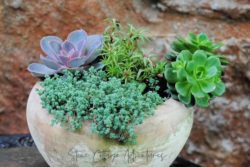 From humble beginnings this Planter comes – photo 1