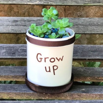 From humble beginnings this Planter comes – photo 11