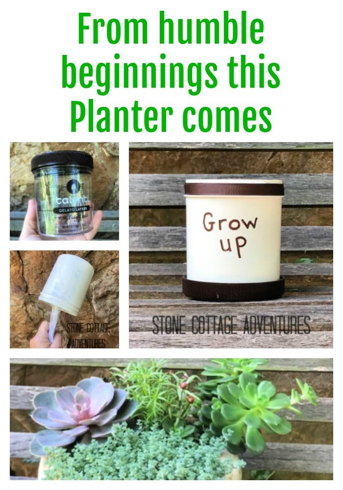 From humble beginnings this Planter comes – photo 9